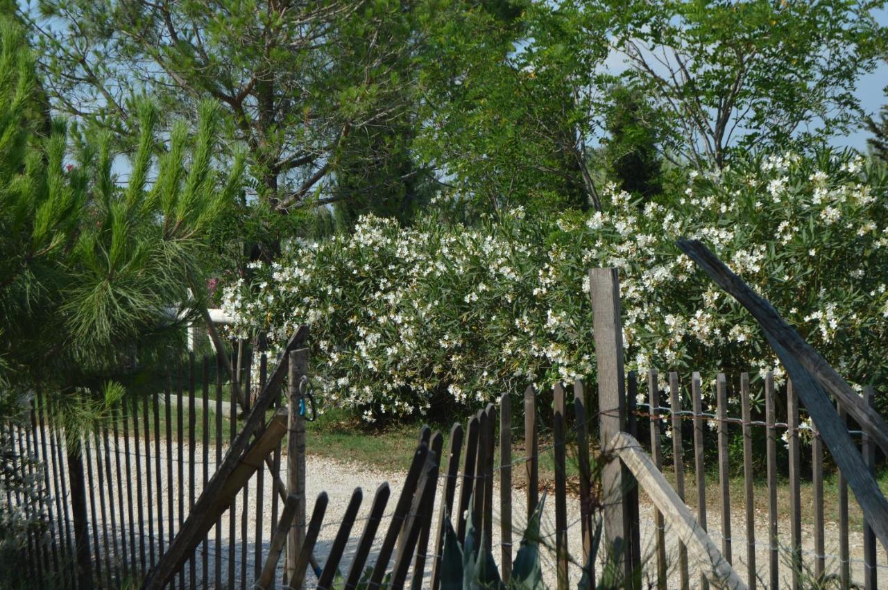 アルバロン Bergerie D'Alivon En Camargue Bed & Breakfast エクステリア 写真