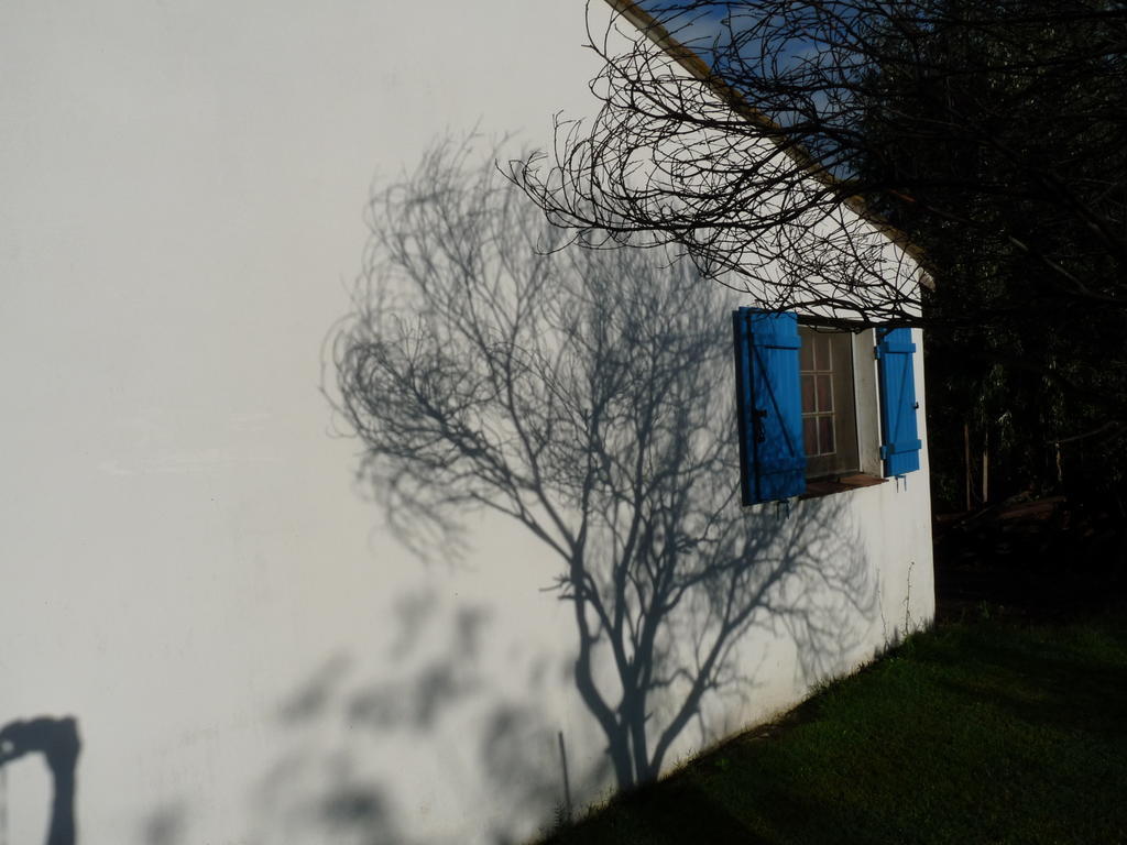 アルバロン Bergerie D'Alivon En Camargue Bed & Breakfast エクステリア 写真