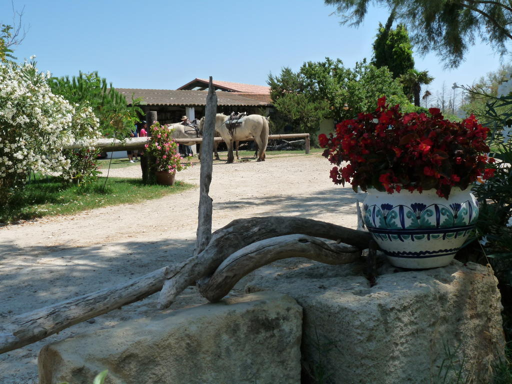 アルバロン Bergerie D'Alivon En Camargue Bed & Breakfast エクステリア 写真