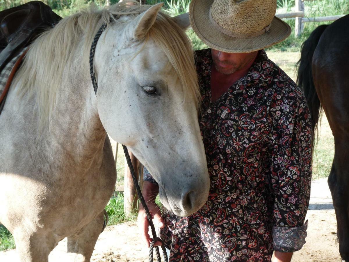アルバロン Bergerie D'Alivon En Camargue Bed & Breakfast エクステリア 写真